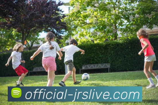 App Interface Preview